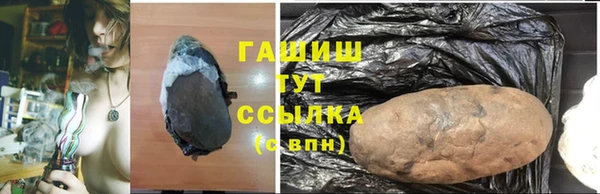 индика Аркадак